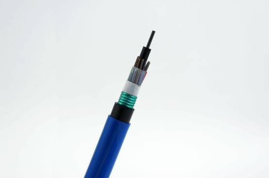 1542893072908594.jpg image002 (3).jpg